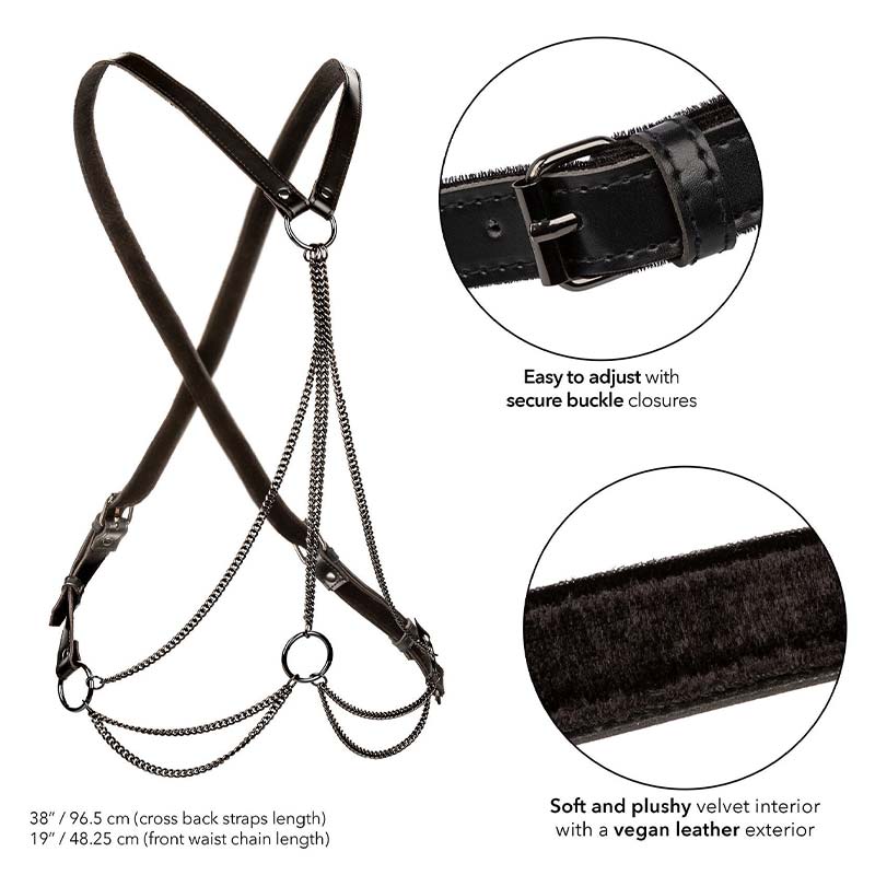 Calexotics Multi Chain Harness Plus size